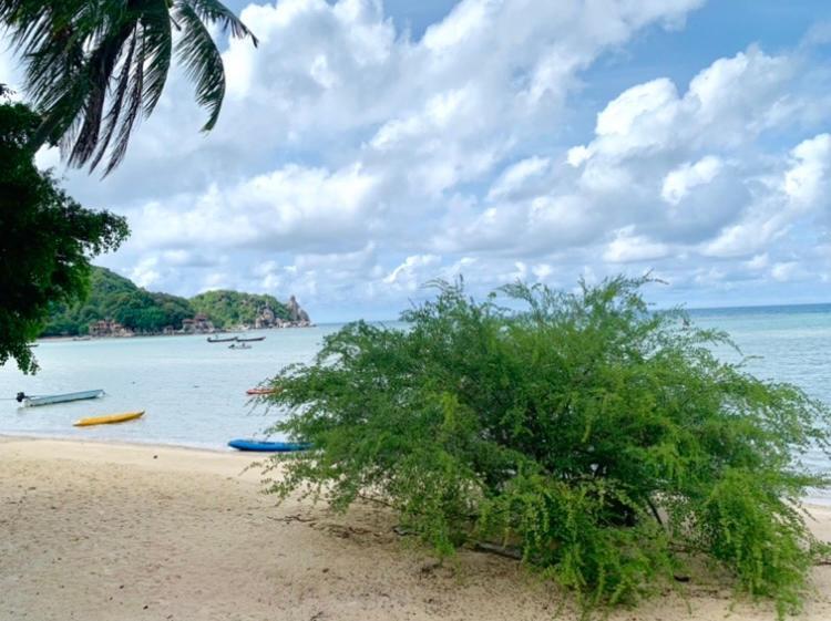 Koh Tao Tropicana Resort Extérieur photo