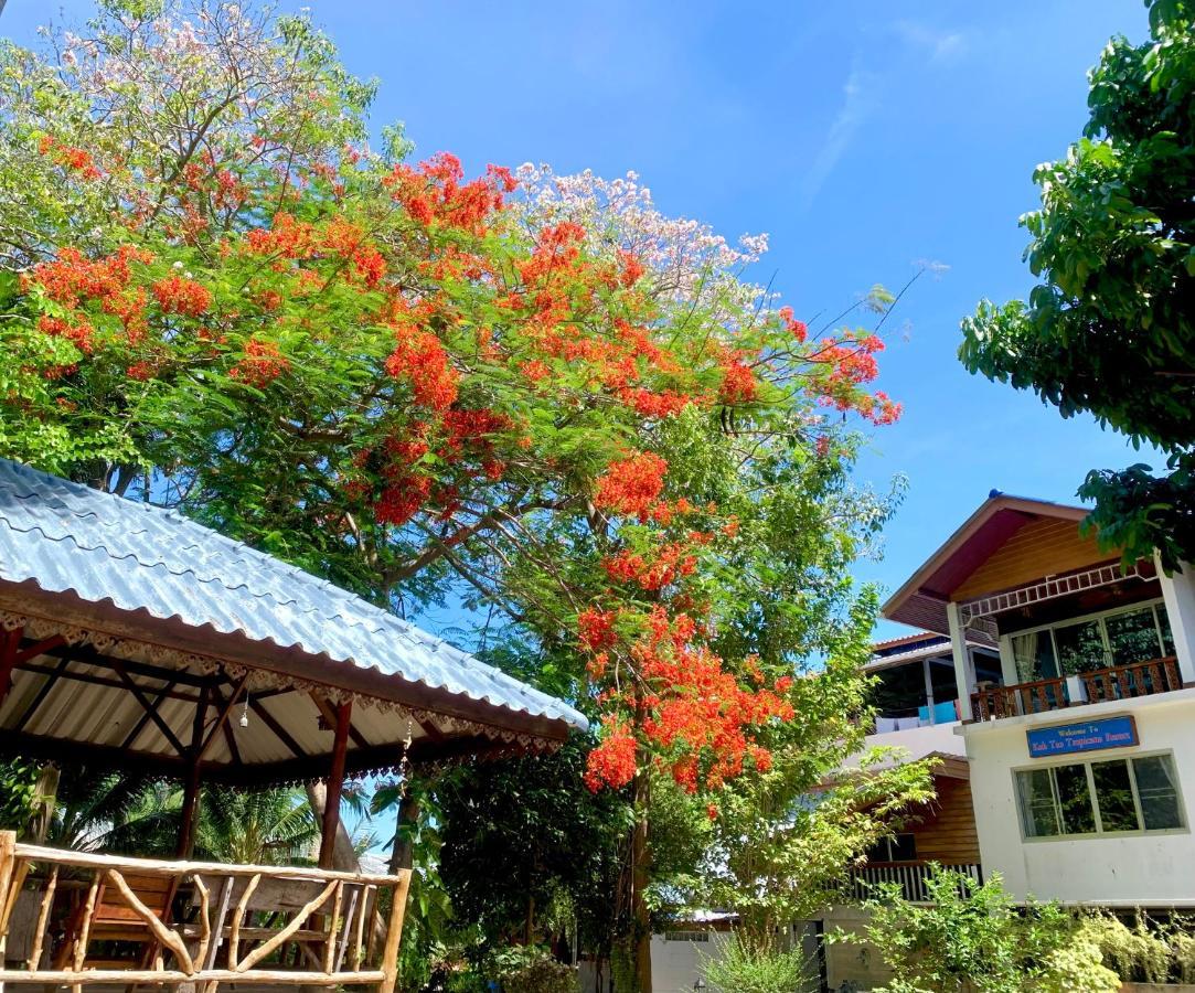 Koh Tao Tropicana Resort Extérieur photo