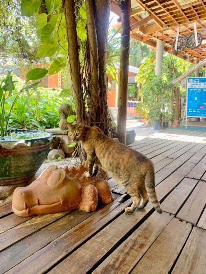 Koh Tao Tropicana Resort Extérieur photo