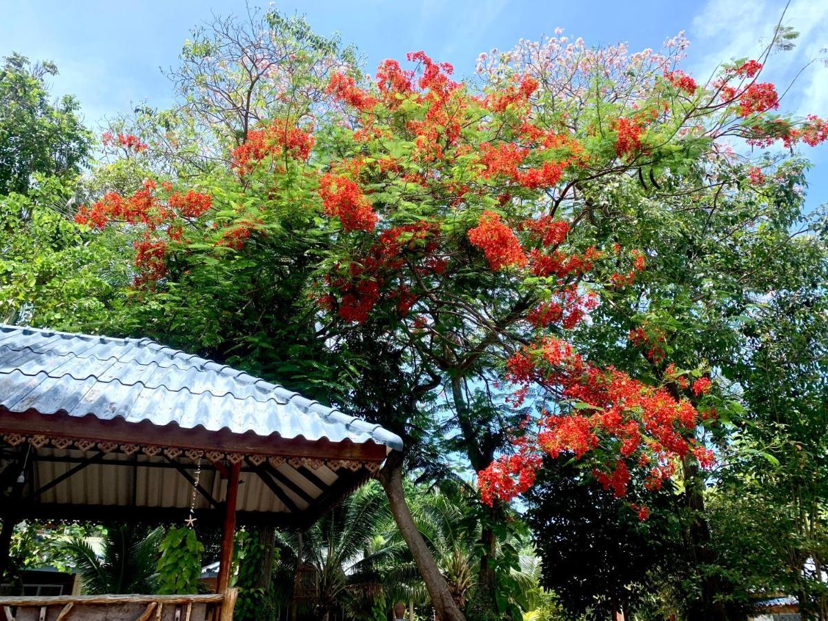 Koh Tao Tropicana Resort Extérieur photo