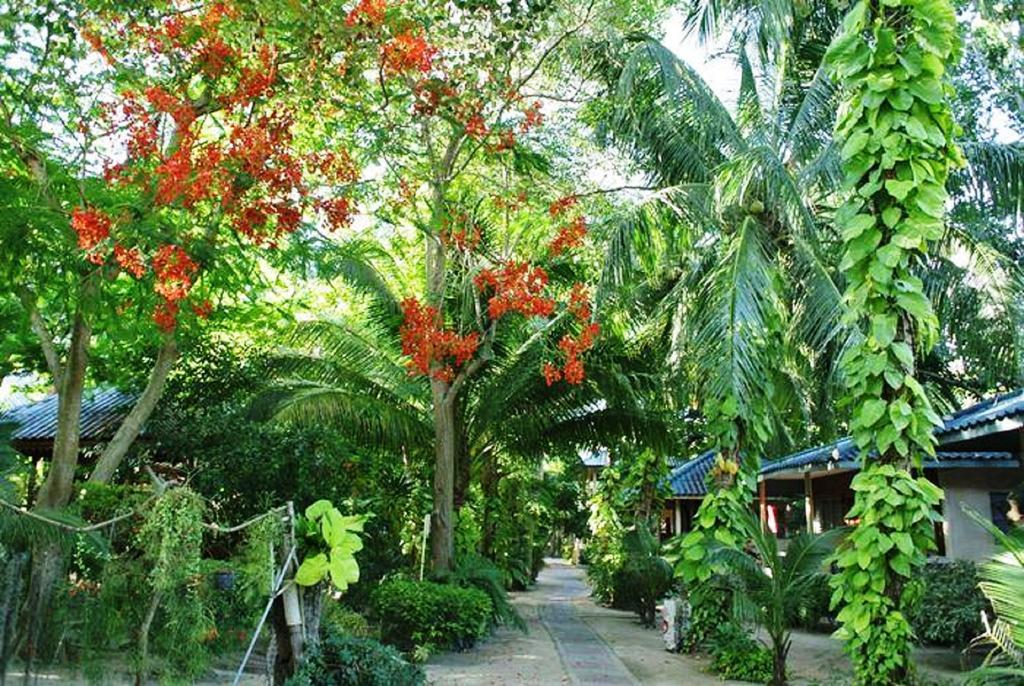 Koh Tao Tropicana Resort Extérieur photo